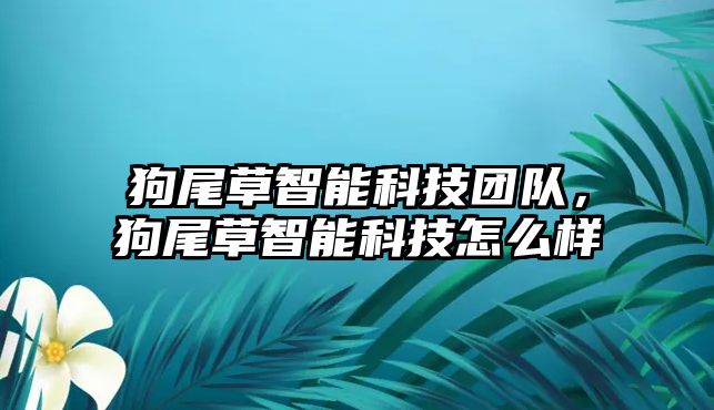 狗尾草智能科技團隊，狗尾草智能科技怎么樣