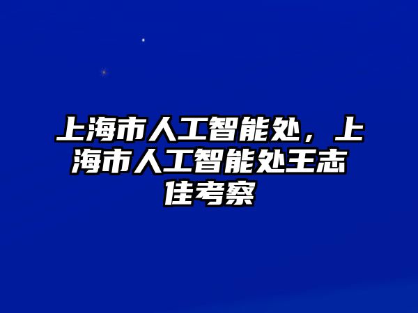 上海市人工智能處，上海市人工智能處王志佳考察