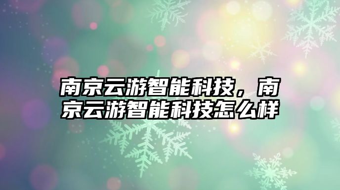 南京云游智能科技，南京云游智能科技怎么樣