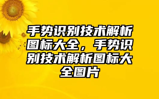 手勢識別技術(shù)解析圖標大全，手勢識別技術(shù)解析圖標大全圖片