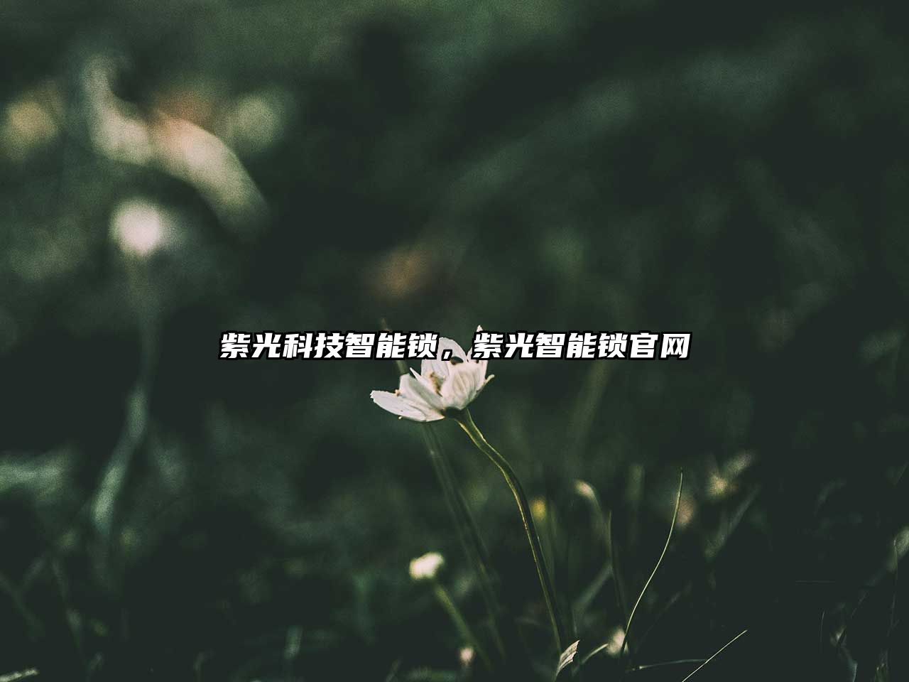 紫光科技智能鎖，紫光智能鎖官網(wǎng)