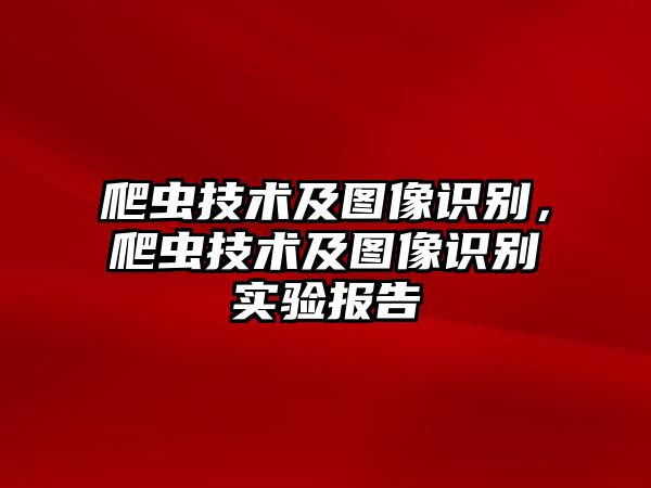 爬蟲技術及圖像識別，爬蟲技術及圖像識別實驗報告