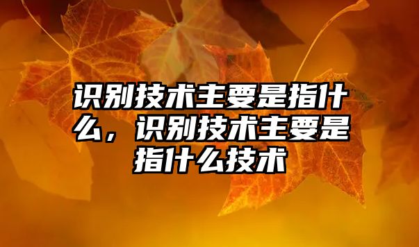 識(shí)別技術(shù)主要是指什么，識(shí)別技術(shù)主要是指什么技術(shù)