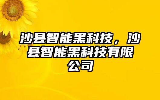 沙縣智能黑科技，沙縣智能黑科技有限公司